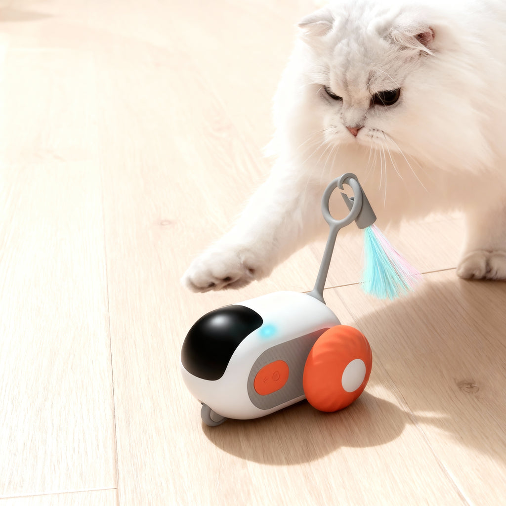 Interactive Self-Driving Pet Play Device