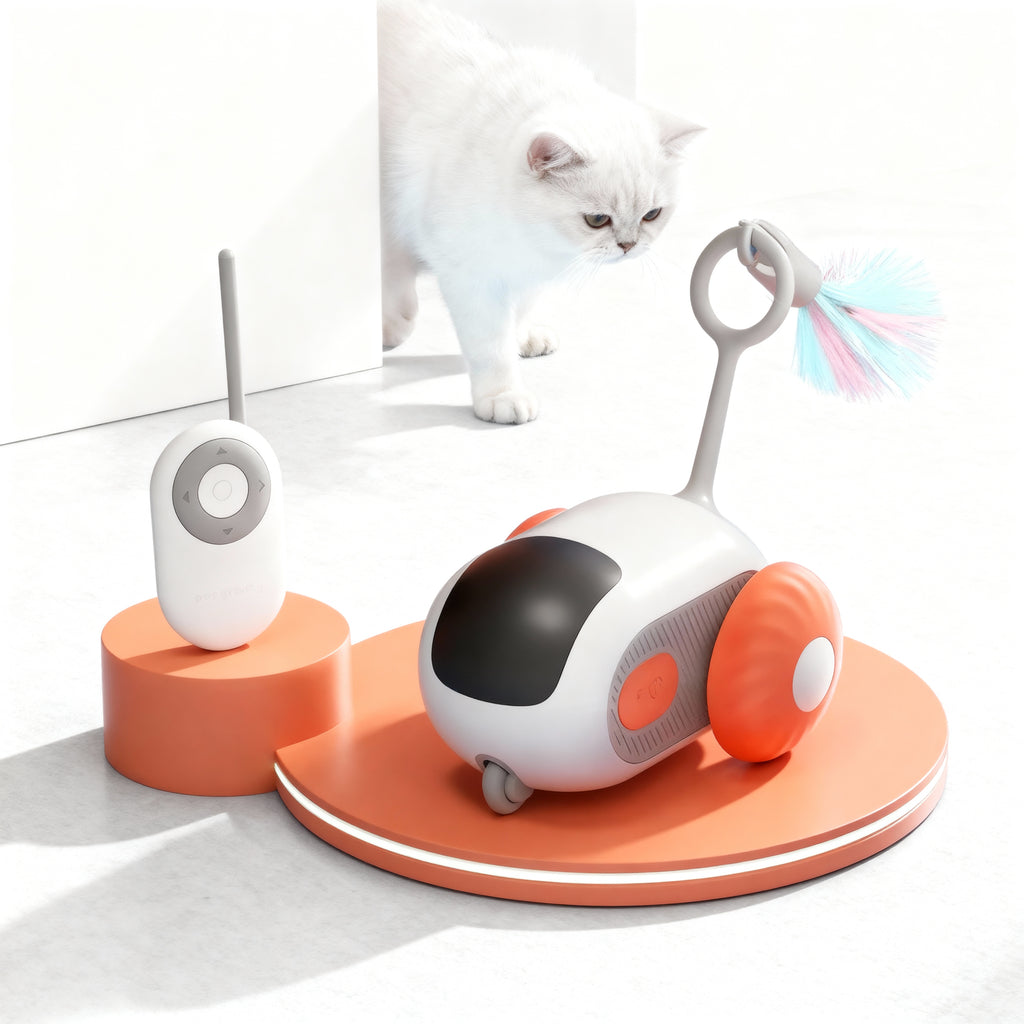 Interactive Self-Driving Pet Play Device