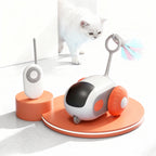 Interactive Self-Driving Pet Play Device