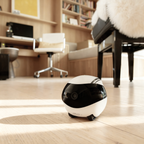 Ebo Smart Home Companion Robot