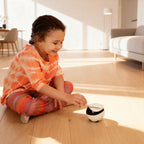 Ebo Smart Home Companion Robot